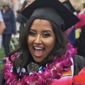 Faculty Mentoring Program